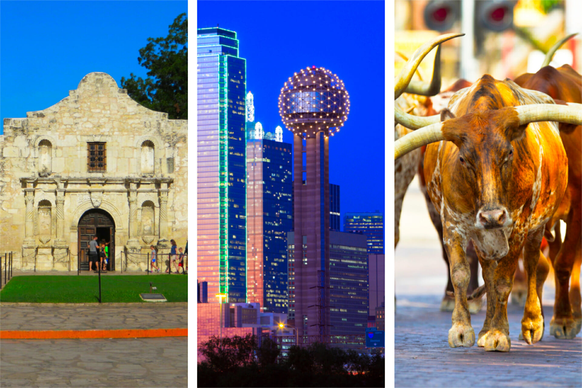 21-best-things-to-do-in-texas-original-happy-to-be-texas